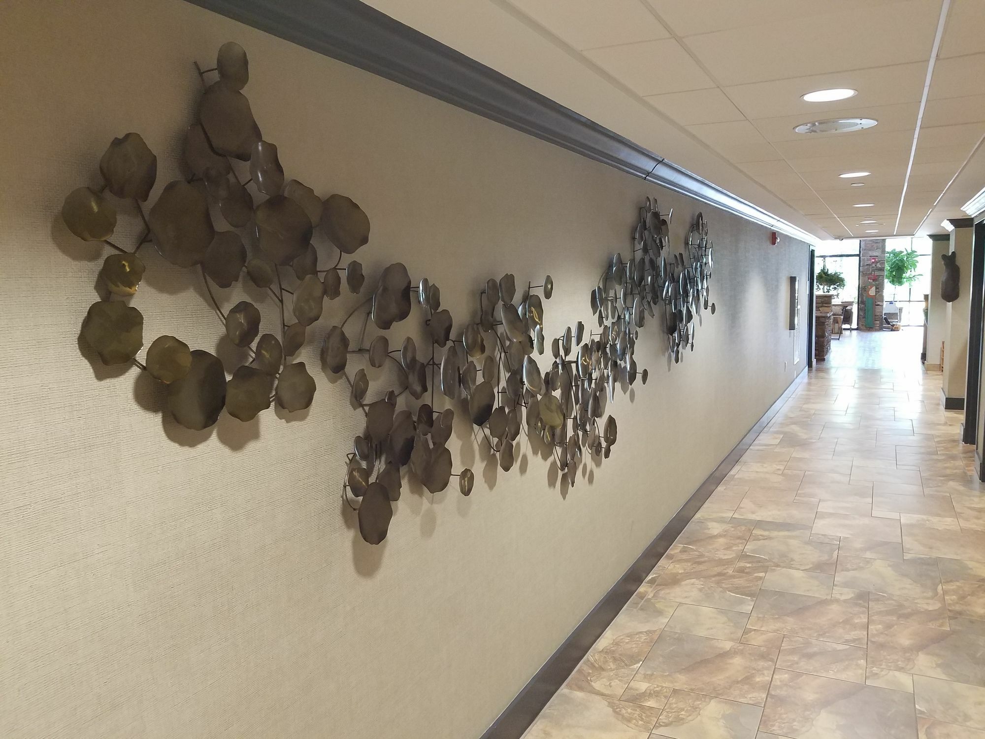 Holiday Inn Asheville East-Blue Ridge Pkwy By Ihg Exterior foto